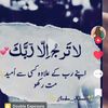 msaeedwarech0786