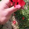 sulya_2820