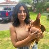chicken_dogmom91