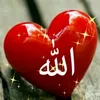 regay_islamm03