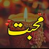 sheikh_zaadi15