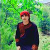 lamwal11