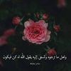 user267930955382