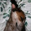 infinitely_tired222