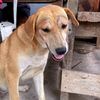 nong.mon12