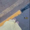 براءه البليعزي🩷.
