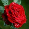 user2760934179266