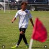 louie15o