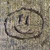 blurb27_7