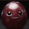 il_jnc