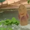 user0lggdm981o