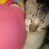 rn_rahma2