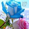 user6209793142284
