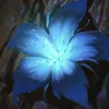 rizqe_kamalia