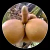 thenhat890