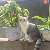 quynhgiao7986