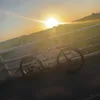 riley80_