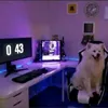 culisidan999