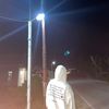 muha_533