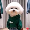 liensi__