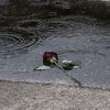 test.2611