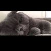 tom._.jerryyy