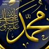 user7101474605139