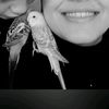nur_nur3506