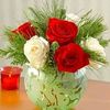 abdo.bakir