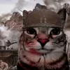 k1tty_cat9876