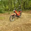 natan122334