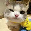 mixowwtt