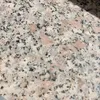 simoneiacono50