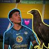 vale_americanista_mx