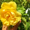 urszula_m