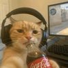 loyddhateu