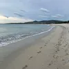 lbreit8