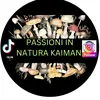 Passioni in natura kaiman