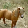 schleich.__horses._