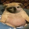 chuchita232