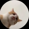 tt_ara27
