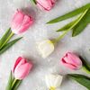 roseblanche1223