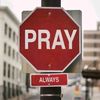 allahfirst306