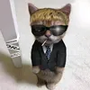 chonkcat5