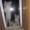 john_micheal015