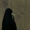 sr_313r