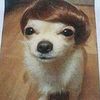 sanwich_chris