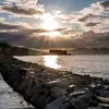 rosa.vesuvio