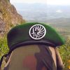 authentic_green