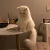 miili_65